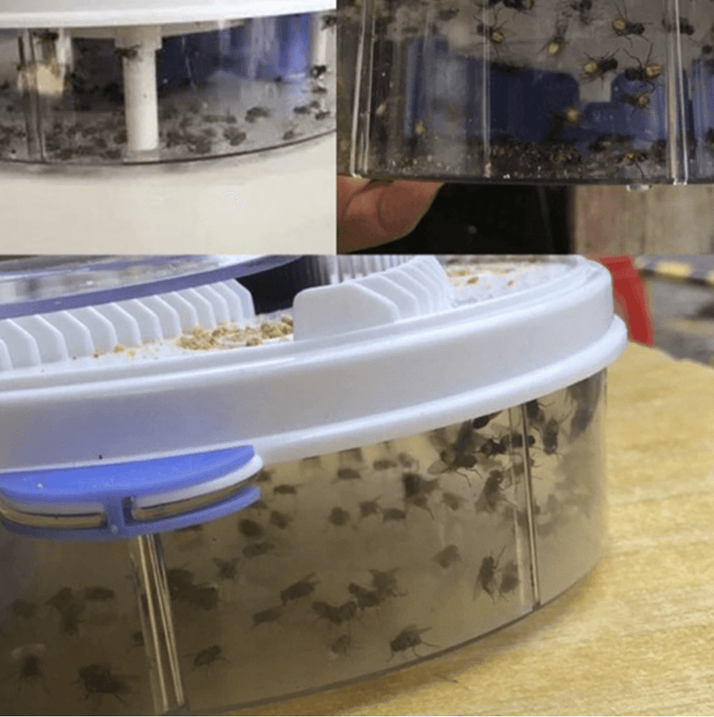 Yedoo Practical reusable Fly &amp; insect trap (see video)