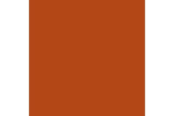 Parasite brown 17ml ⎮ 8429551720427 ⎮ VE_422974