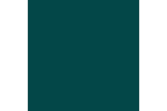 Scurvy green 17ml ⎮ 8429551720274 ⎮ VE_422959