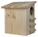 Care Bird Foderhus egern natur fyretræ ⎮ 5708787462404 ⎮ FS_000261