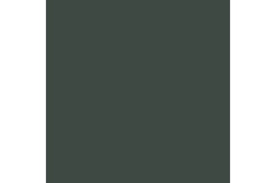 Black green mat 17ml ⎮ 8429551709804 ⎮ VE_422905