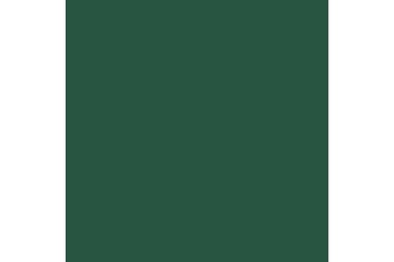 Cayman green 17ml ⎮ 8429551720670 ⎮ VE_422999
