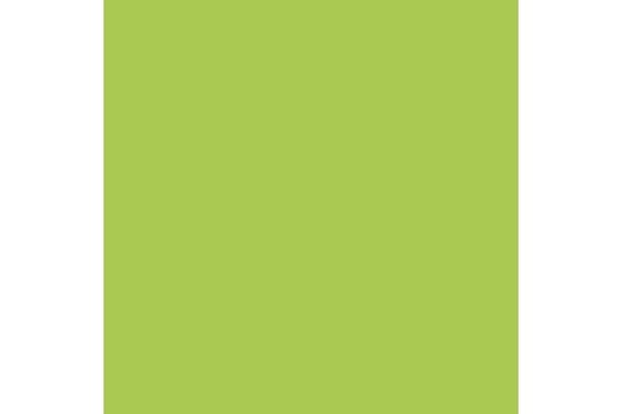 Livery green 17 ml ⎮ 8429551727334 ⎮ VE_452135