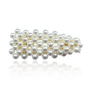 Everneed Hårspænde 1 stk Snaphårspænde Metal, Plast ⎮ 1348100241473 ⎮ EV_000893