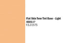Flat Skin Tone Tint Base - Light ⎮ 8001283460101 ⎮ VE_488423
