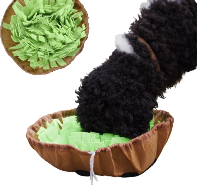 Snusetæppe, God træning for din hund