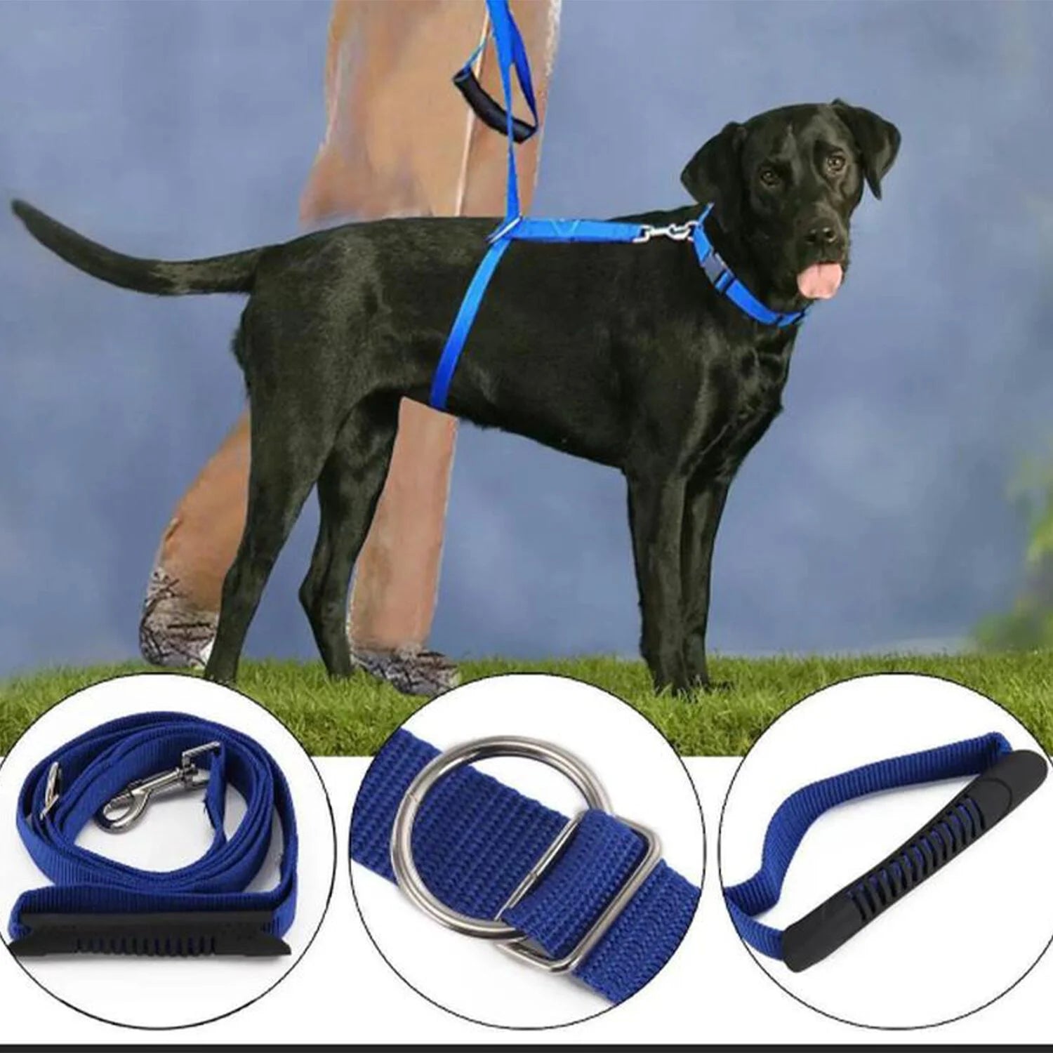 Instant Trainer Hundesnor (tilfældig farve)