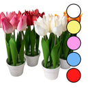 Kunstige tulipaner i Plastik Potte ca. 30x10 cm (tilfældig farve)