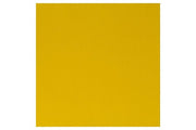 Prof Acrylic 60ml Azo Yellow Medium 019 ⎮ 5012572010894 ⎮ VE_831144 