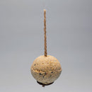 CARE-Bird XL Nutrition Ball