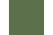 German cam. bright green mat 17ml ⎮ 8429551708333 ⎮ VE_422762 