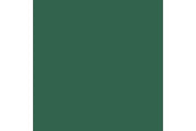 Deep green mat 17ml ⎮ 8429551709705 ⎮ VE_422895 