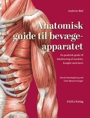 Anatomisk guide til bevægeapparatet