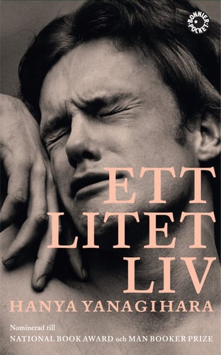 Ett litet liv 