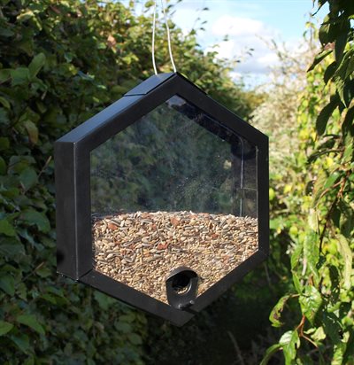 Foderautomat Bird Feeder - Hexagonal