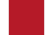 Carmine red mat 17ml ⎮ 8429551709088 ⎮ VE_422836 