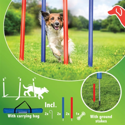 Agility Slalom sæt   