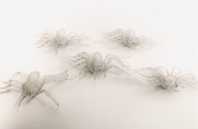Halloween - Small Spiders 5pcs - Transparent